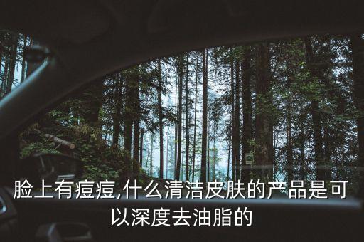 脸上有痘痘,什么清洁皮肤的产品是可以深度去油脂的