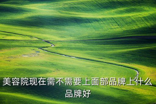 美容院现在需不需要上面部品牌上什么品牌好