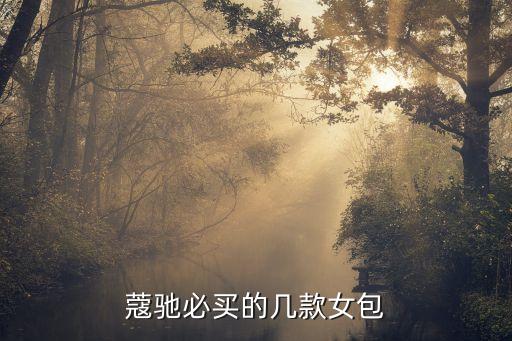 蔻驰必买的几款女包