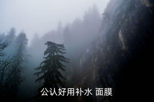 公认好用补水 面膜