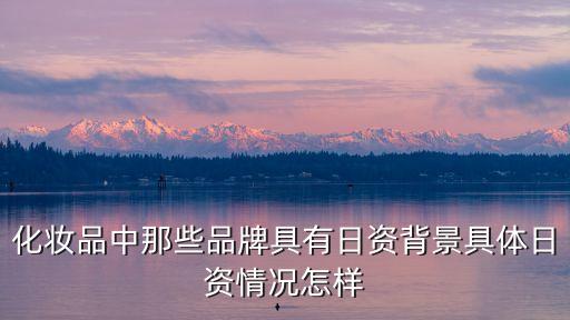 化妆品中那些品牌具有日资背景具体日资情况怎样
