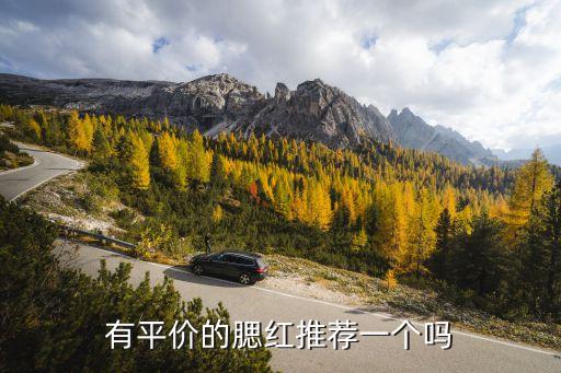 有平价的腮红推荐一个吗