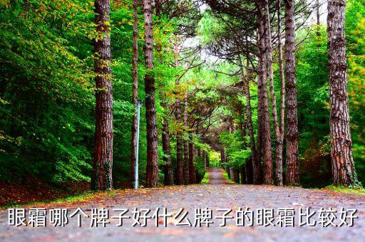 保湿抗皱眼霜哪个最好,抗皱眼霜哪个牌子好?去皱效果好?不用买太贵