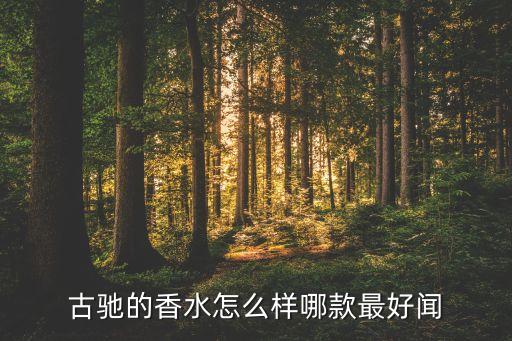 gucci flora是什么档次,古驰gucci是什么档次
