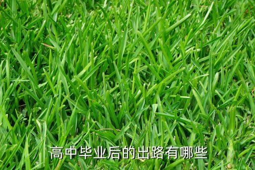  高中毕业后的出路有哪些