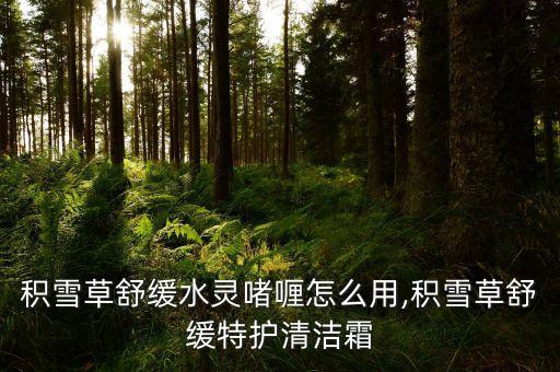 积雪草舒缓水灵啫喱怎么用,积雪草舒缓特护清洁霜