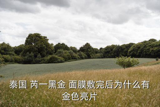 泰国 芮一黑金 面膜敷完后为什么有金色亮片