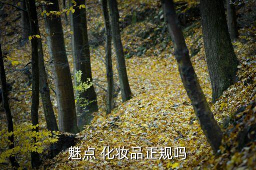 魅点 化妆品正规吗