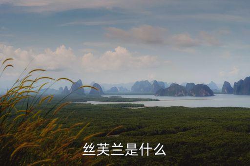 丝芙兰是什么