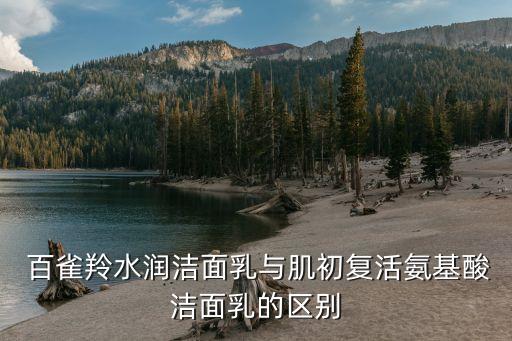 百雀羚水润洁面乳与肌初复活氨基酸洁面乳的区别