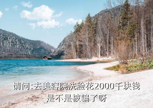 请问:去美容院洗脸花2000千块钱是不是被骗了呀