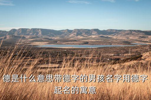 德什么世家,上德世家海门
