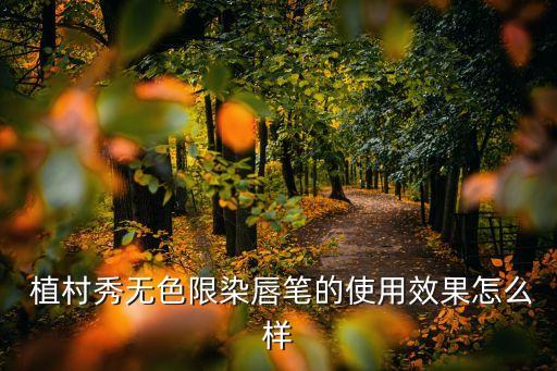  植村秀无色限染唇笔的使用效果怎么样