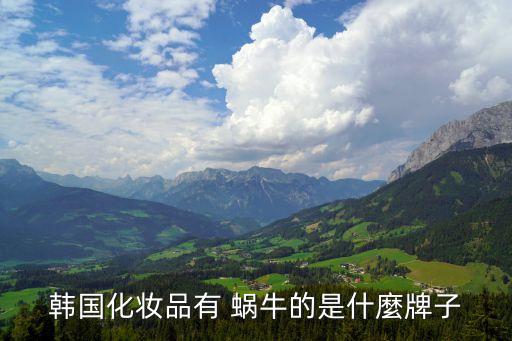 韩国化妆品有 蜗牛的是什麼牌子