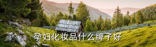 孕妇化妆品什么牌子好