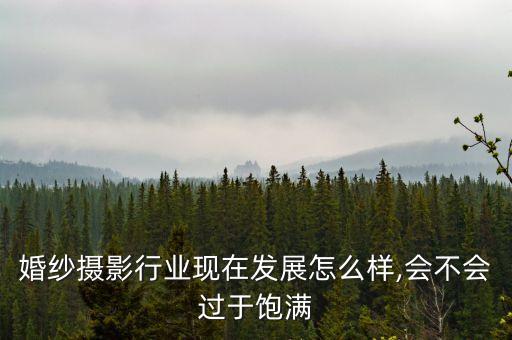 婚纱摄影行业现在发展怎么样,会不会过于饱满