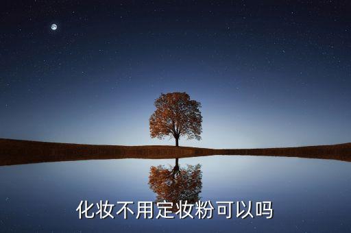 化妆不用定妆粉可以吗