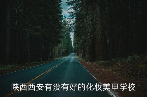 陕西西安有没有好的化妆美甲学校