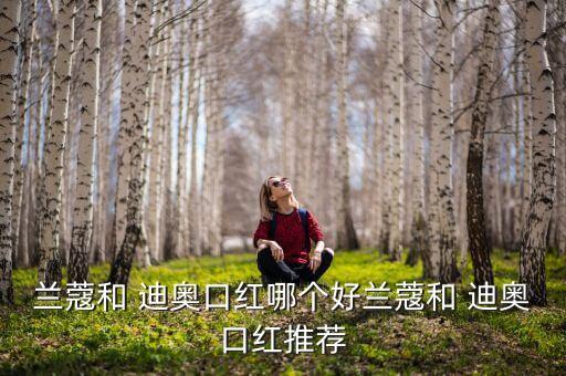 兰蔻和 迪奥口红哪个好兰蔻和 迪奥口红推荐