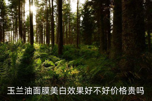 玉兰油面膜美白效果好不好价格贵吗