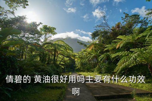 倩碧的 黄油很好用吗主要有什么功效啊