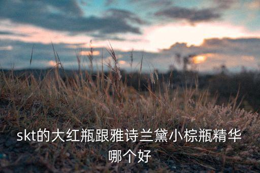skt的大红瓶跟雅诗兰黛小棕瓶精华哪个好