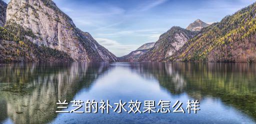 兰芝的补水效果怎么样