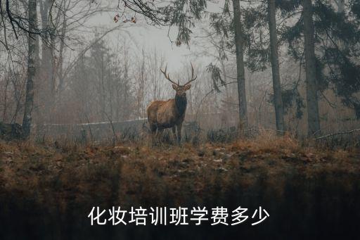 化妆培训班学费多少