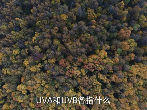 UVA和UVB各指什么