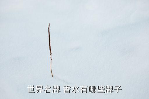 世界名牌 香水有哪些牌子