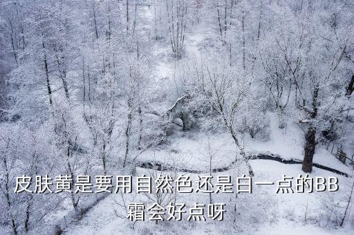 露韩饰b.b霜怎么样