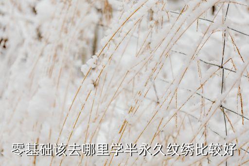 零基础该去哪里学半永久纹绣比较好