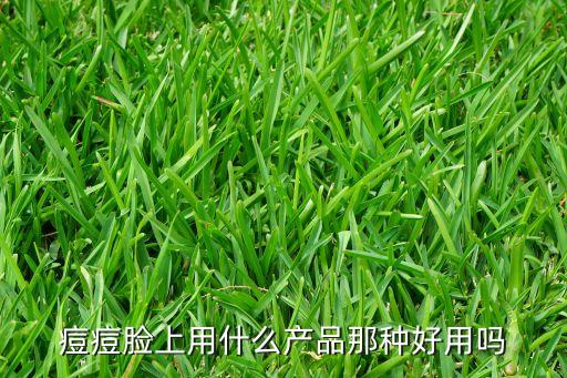 痘痘脸上用什么产品那种好用吗