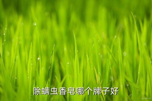 什么样的满婷香皂好,满婷香皂有什么作用？