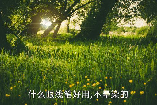 什么眼线笔好用,不晕染的