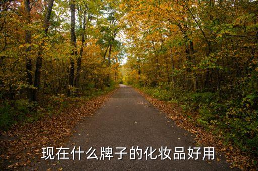 现在什么牌子的化妆品好用