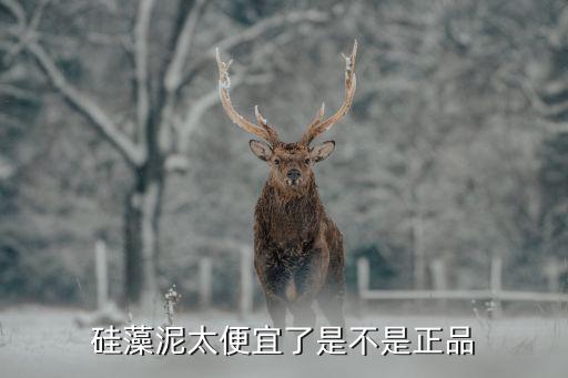 白特是哪里的品牌