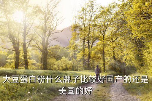 大豆蛋白粉什么牌子比较好国产的还是美国的好