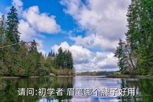 请问:初学者 眉笔哪个牌子好用