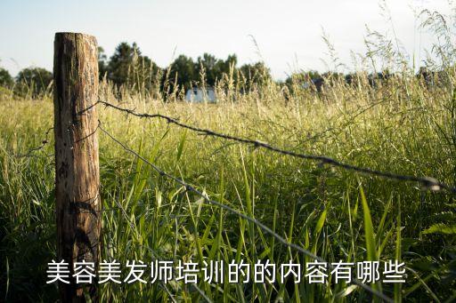 美容美发师培训的的内容有哪些