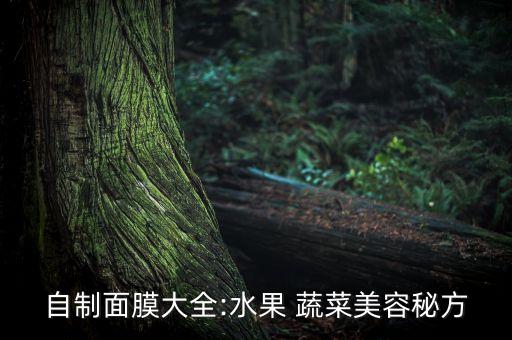 自制面膜大全:水果 蔬菜美容秘方