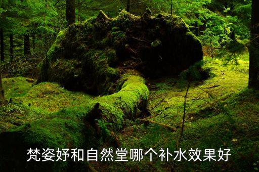 梵姿妤和自然堂哪个补水效果好