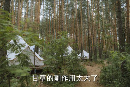 甘草的副作用太大了