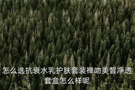 怎么选抗衰水乳护肤套装禅吻美皙净透套盒怎么样呢