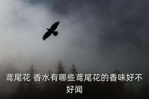 鸢尾花 香水有哪些鸢尾花的香味好不好闻