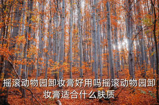 rec卸妆膏怎么样,养生堂卸妆水怎么样？