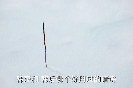韩后bb霜哪个好用,韩后和韩束bb霜哪个好用?