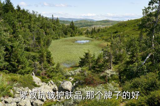 什么紧致抗皱护肤品好,抗皱紧致护肤品有哪些?