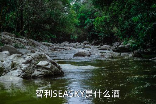 智利SEASKY是什么酒
