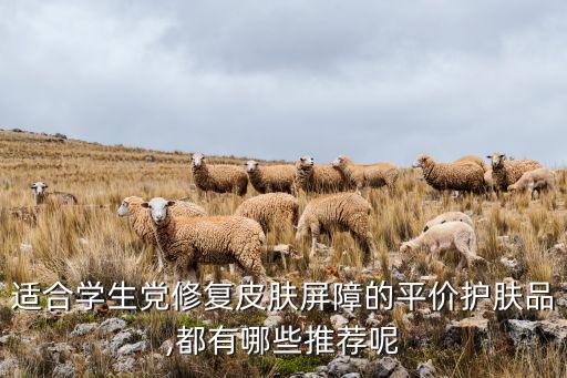 适合学生党修复皮肤屏障的平价护肤品,都有哪些推荐呢
